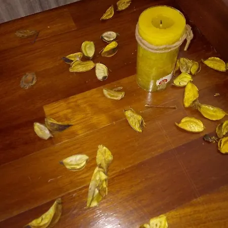 La Stazione Di Francesco * Santa Maria Degli Angeli (Assisi)